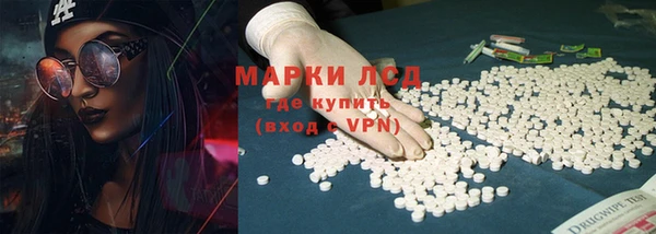 метадон Богданович
