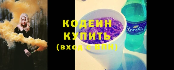 метадон Богданович