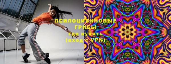 метадон Богданович