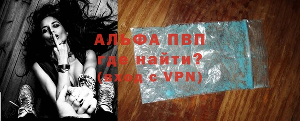 метадон Богданович