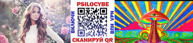 цена   hydra   Галлюциногенные грибы прущие грибы  Щигры 