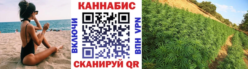Каннабис ГИДРОПОН Щигры