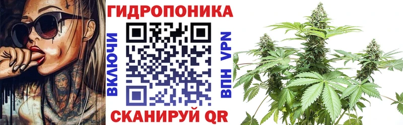 даркнет официальный сайт  купить закладку  Щигры  Бошки марихуана SATIVA & INDICA 